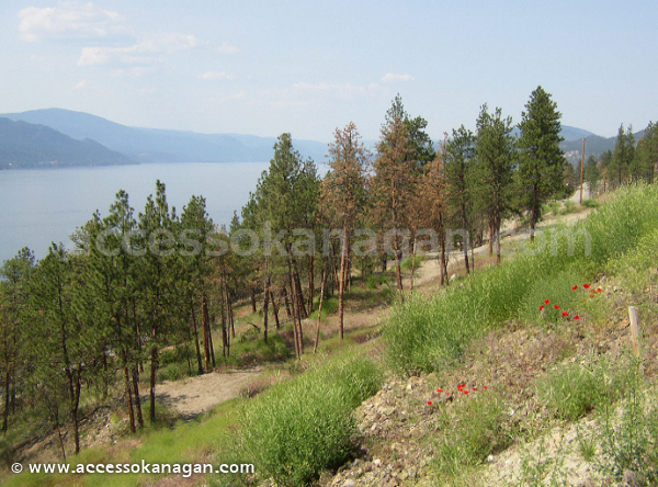 View of Okanagan Lake (towards Vernon)